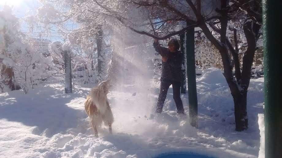 Appartamento Casa Familiar Zarza Mora San Carlos de Bariloche Esterno foto